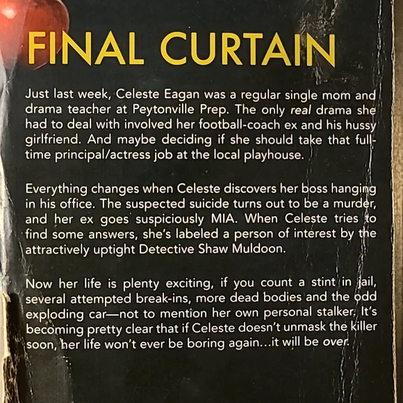 "Person of Interest" by Emery Harper Celeste Eagan Mystery - Picture 12 of 12